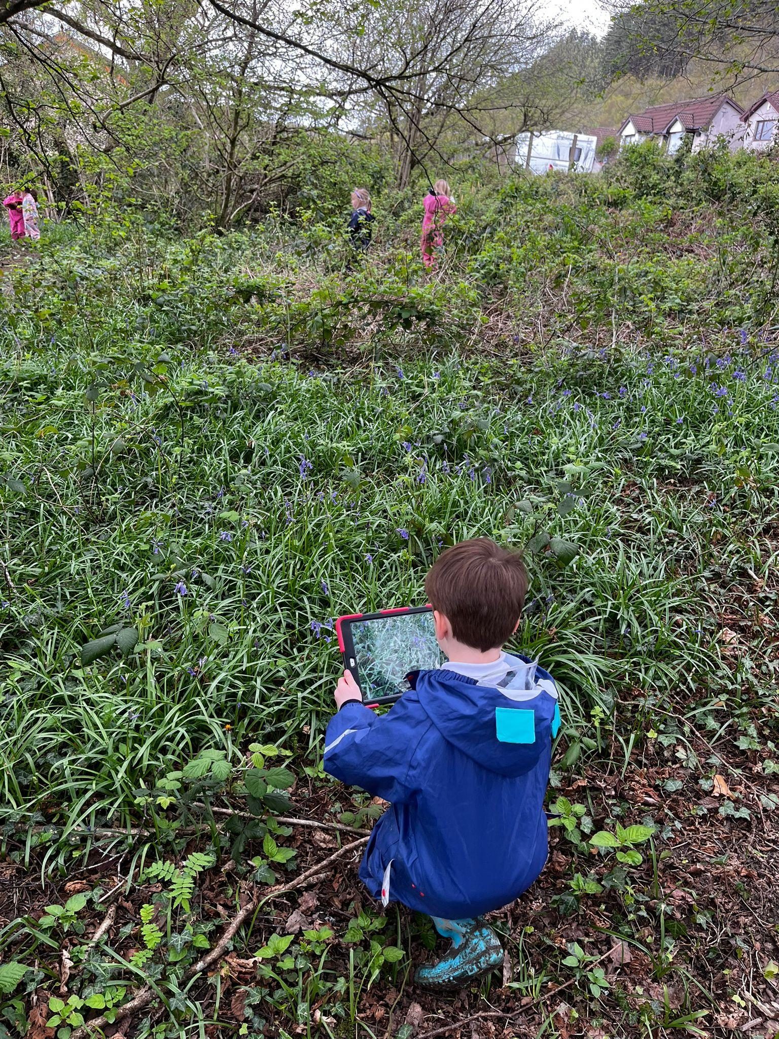 Pupil exploring the woodland with a tablet