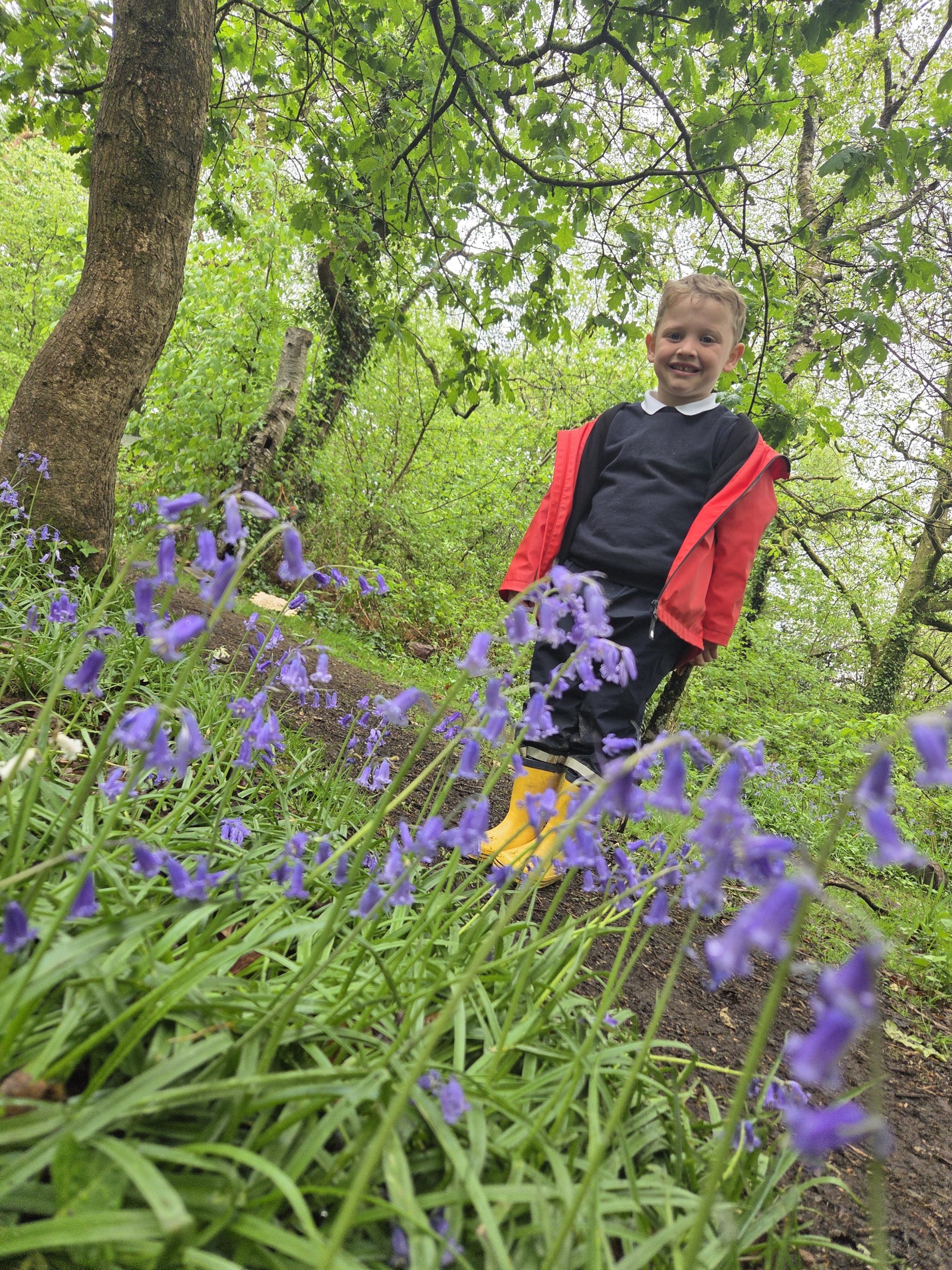 Pupil exploring among bluebells in the woodland