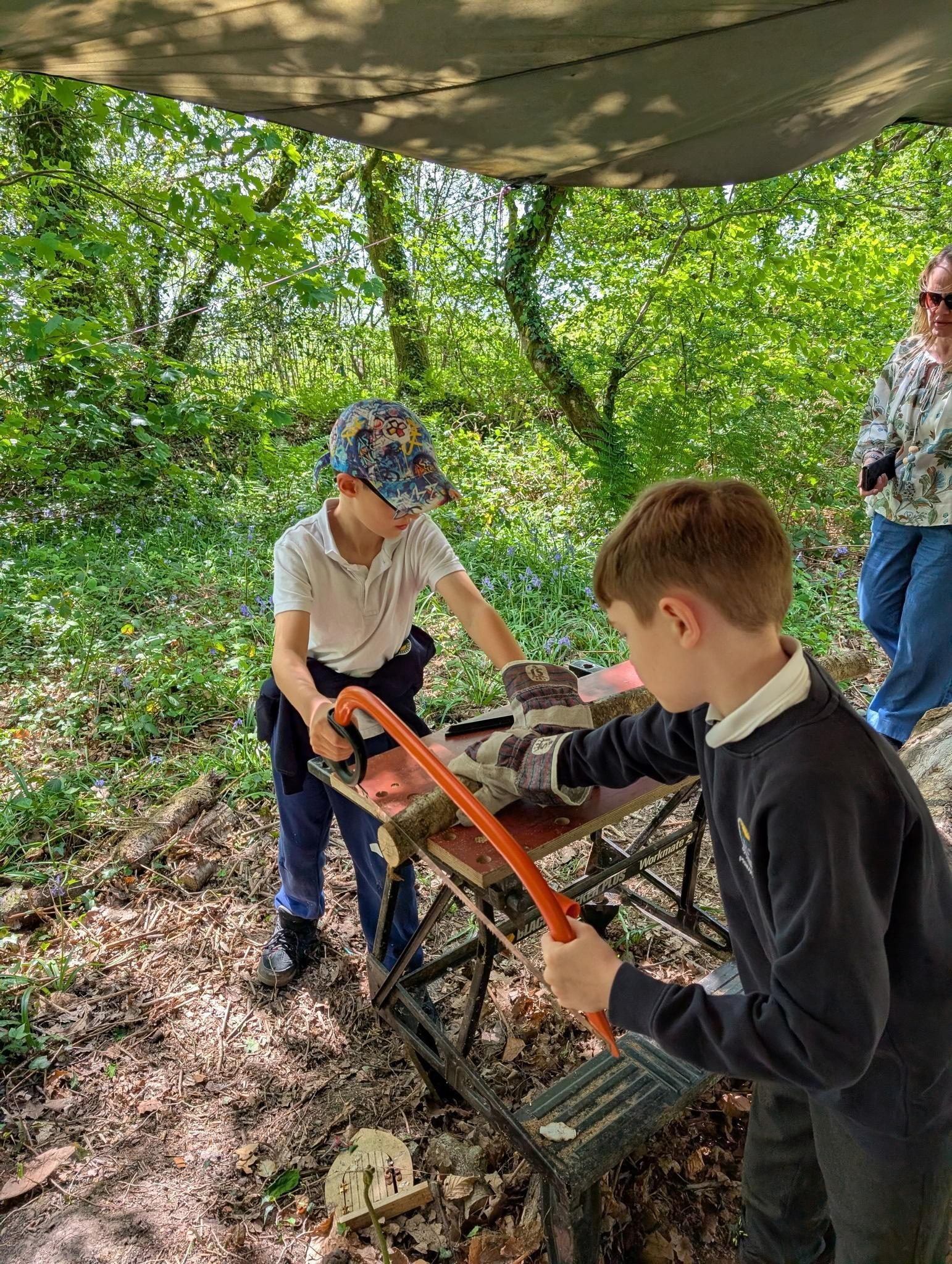 Pupils working together on a practical woodland activity